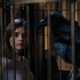 Image for article titled Doctor Who: This Was All The Doctor’s Fault